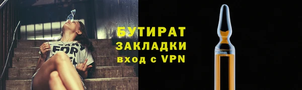 индика Алексин
