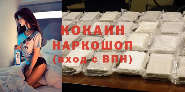 индика Алексин