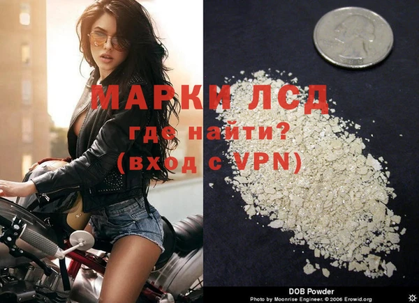 индика Алексин